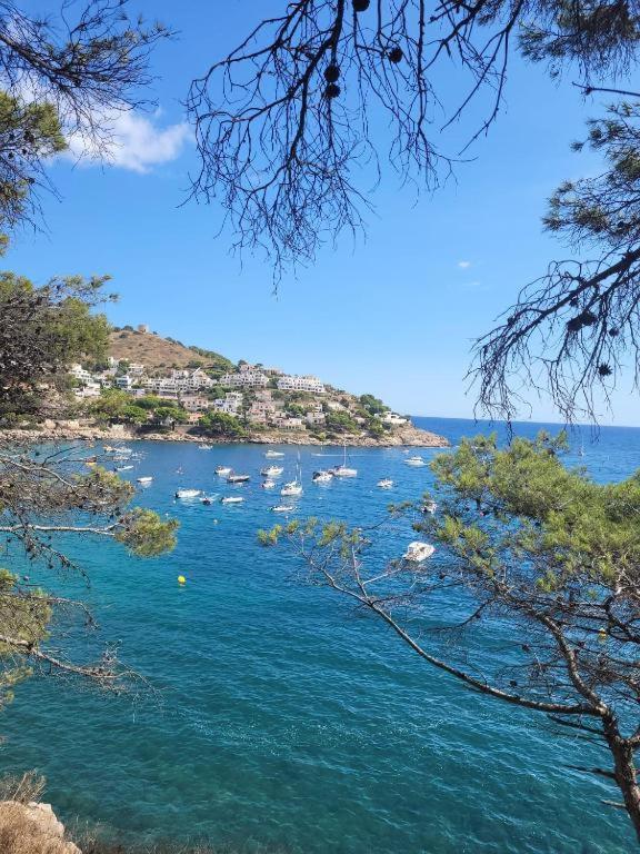Apartamento Cala Montgo L' Escala Eksteriør billede